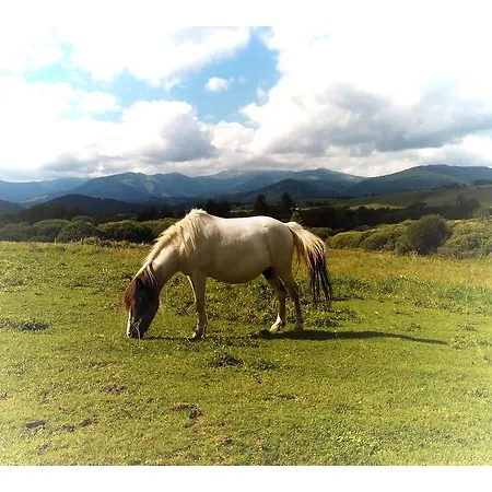 Farma Kozi Dvor Rohozna