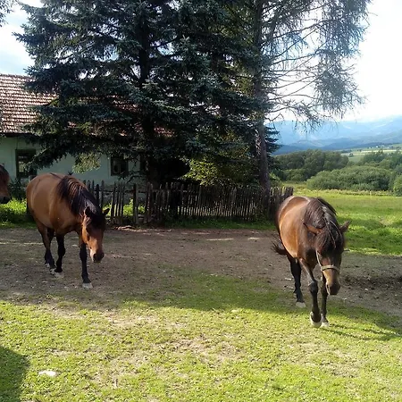 Farma Kozi Dvor Rohozna *