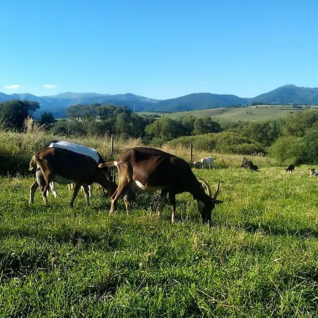Farma Kozi Dvor Rohozna Breznóbánya