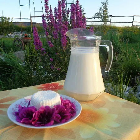Apartment Farma Kozi Dvor Rohozna