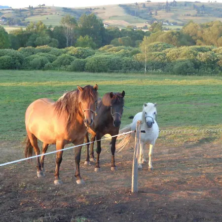 Farma Kozi Dvor Rohozna Brezno