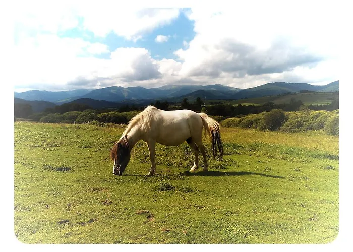 Farma Kozí Dvor Rohozná