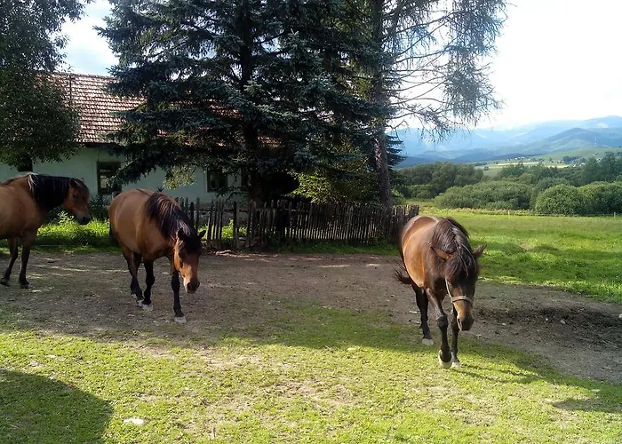 Farma Kozí Dvor Rohozná *