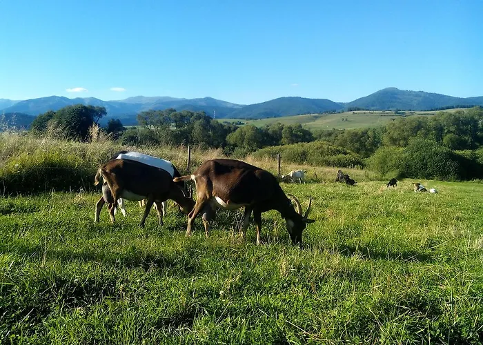 Farma Kozí Dvor Rohozná Brezno