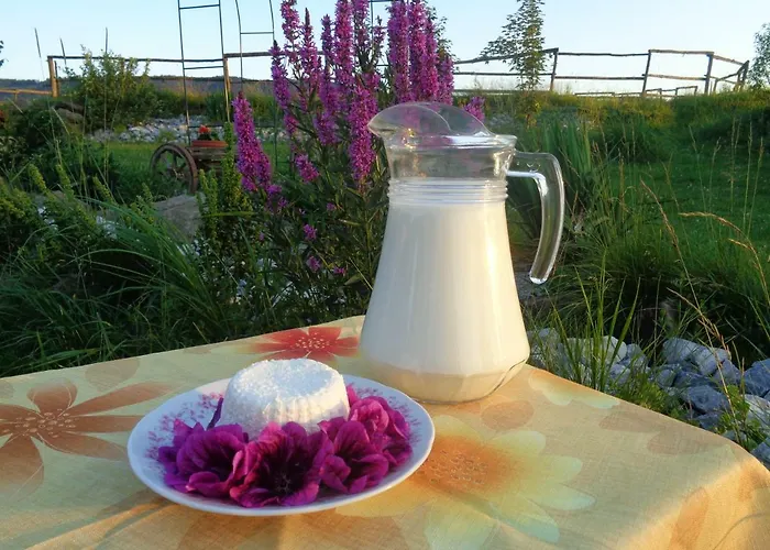 Apartamento Farma Kozí Dvor Rohozná