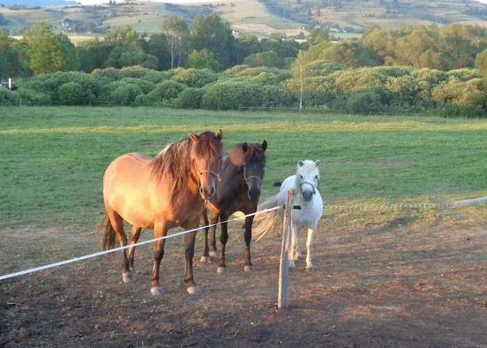 Farma Kozí Dvor Rohozná Brezno